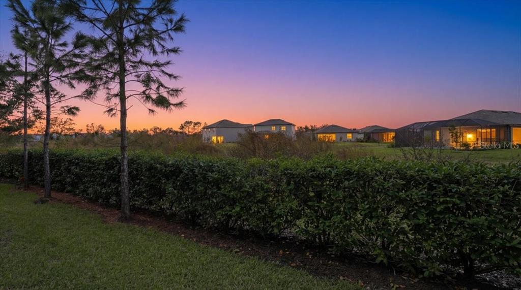 14740 Lyla Terrace Lakewood Ranch, FL 34211 - Photo 10 of 68 a view of a outdoor space and a yard