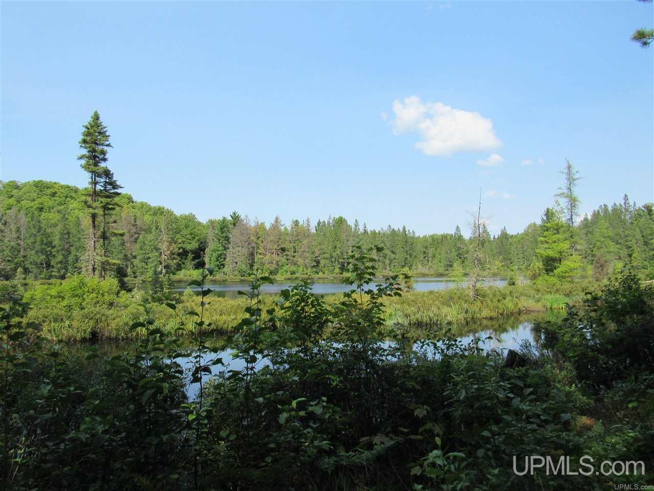 Tbd Berry Road Michigamme, MI 49861 - Photo 7 of 17