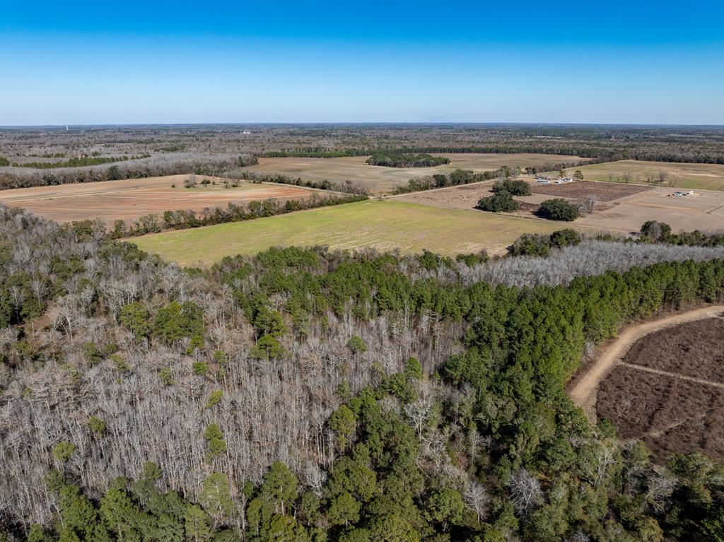 31.5-ac 31.5-ac Rammer Loop Road Dothan, AL 36301 - Photo 13 of 49
