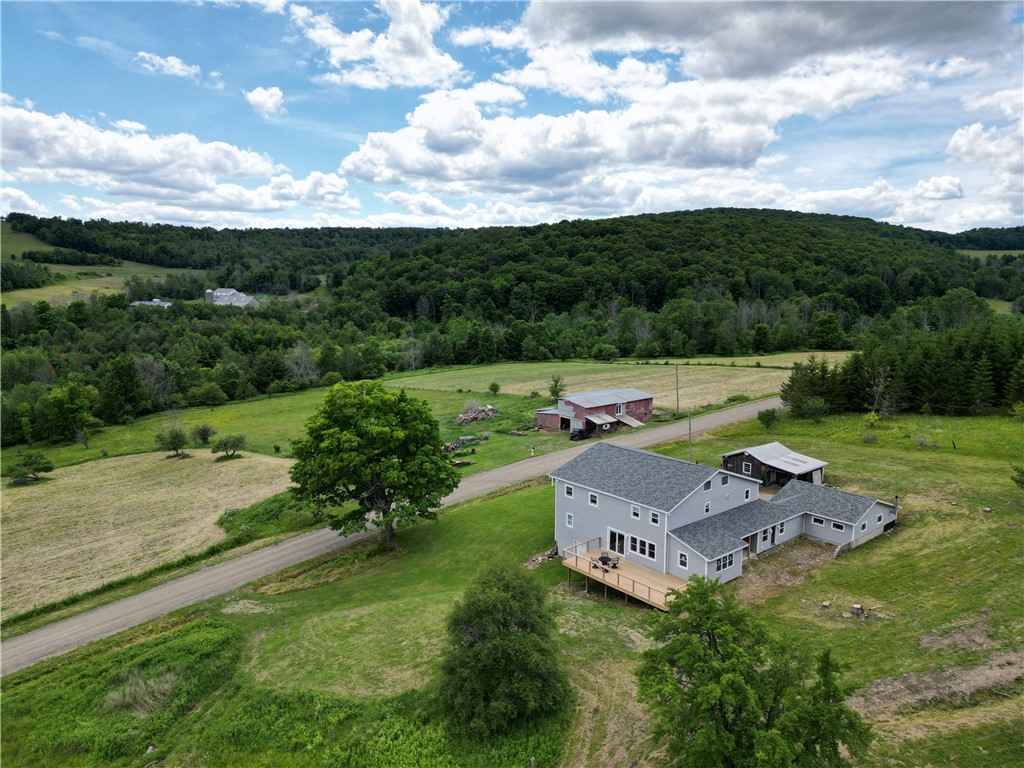 2797 Gunn Road Troupsburg, NY 14885 - Photo 3 of 50