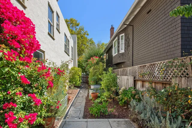 a flower plants with wooden fence