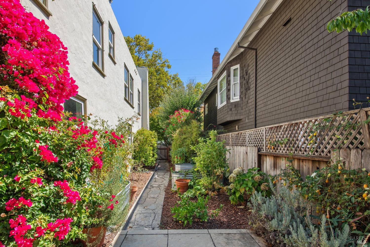135 H Street San Rafael, CA 94901 - Photo 20 of 21 a flower plants with wooden fence