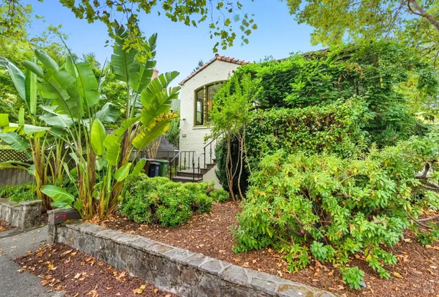 a view of a garden with plants