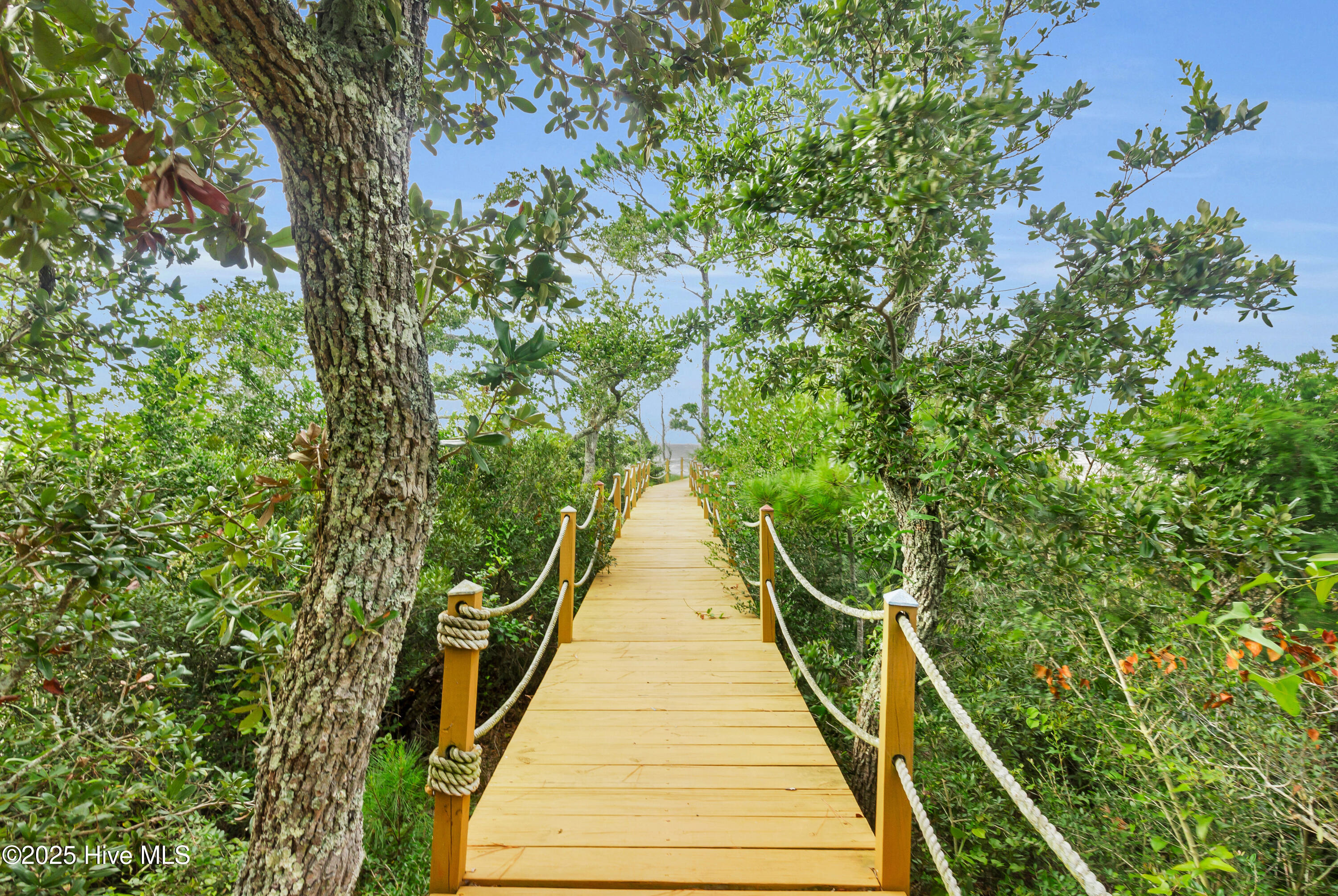 531 Sandy Point Drive Beaufort, NC 28516 - Photo 14 of 21 56