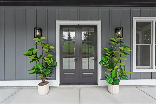 a potted plant sitting in front of a door