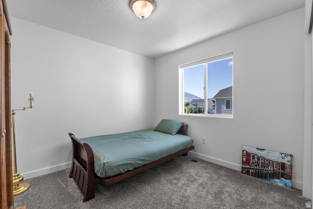 703 West 950 S Street Springville, UT 84663 - Photo 21 of 27