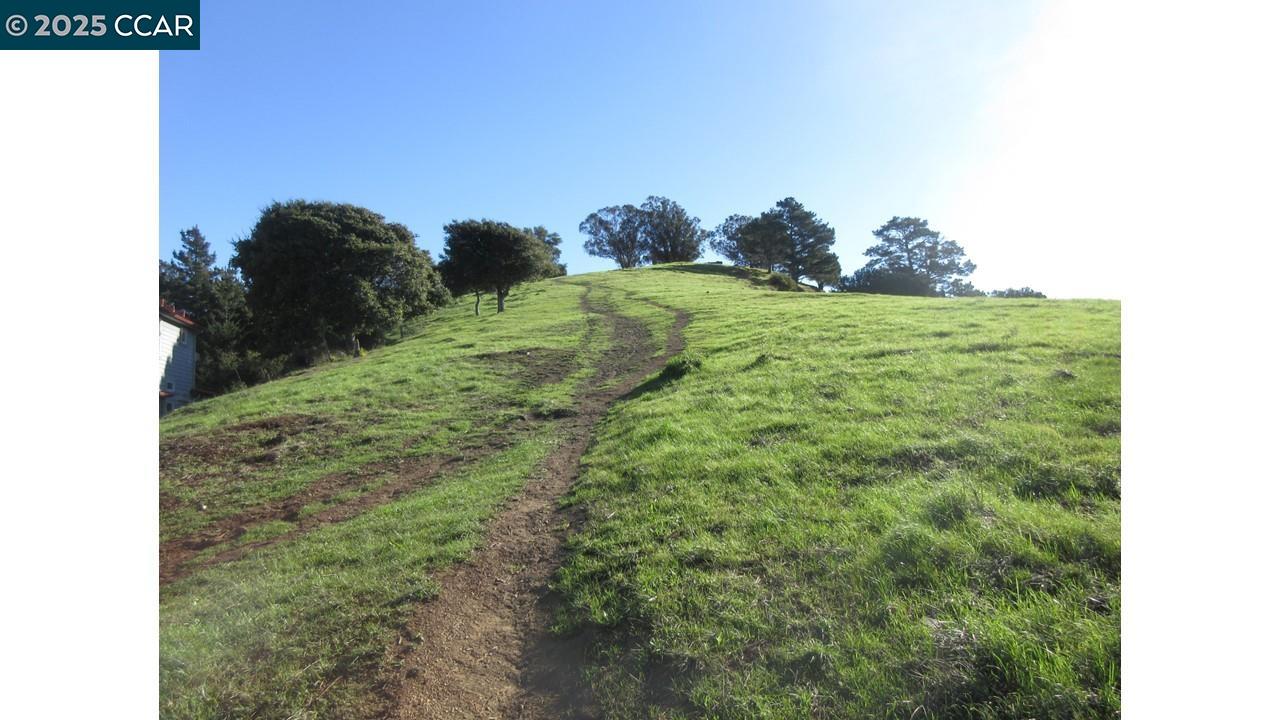 0 Crest Avenue Richmond, CA 94801 - Photo 12 of 30 a view of a green field with lots of bushes
