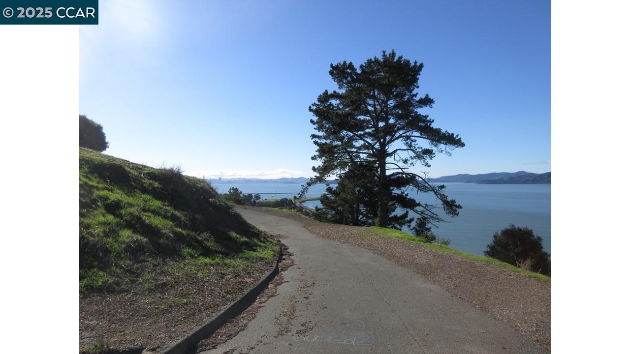 0 Crest Avenue Richmond, CA 94801 - Photo 2 of 30 a view of a yard