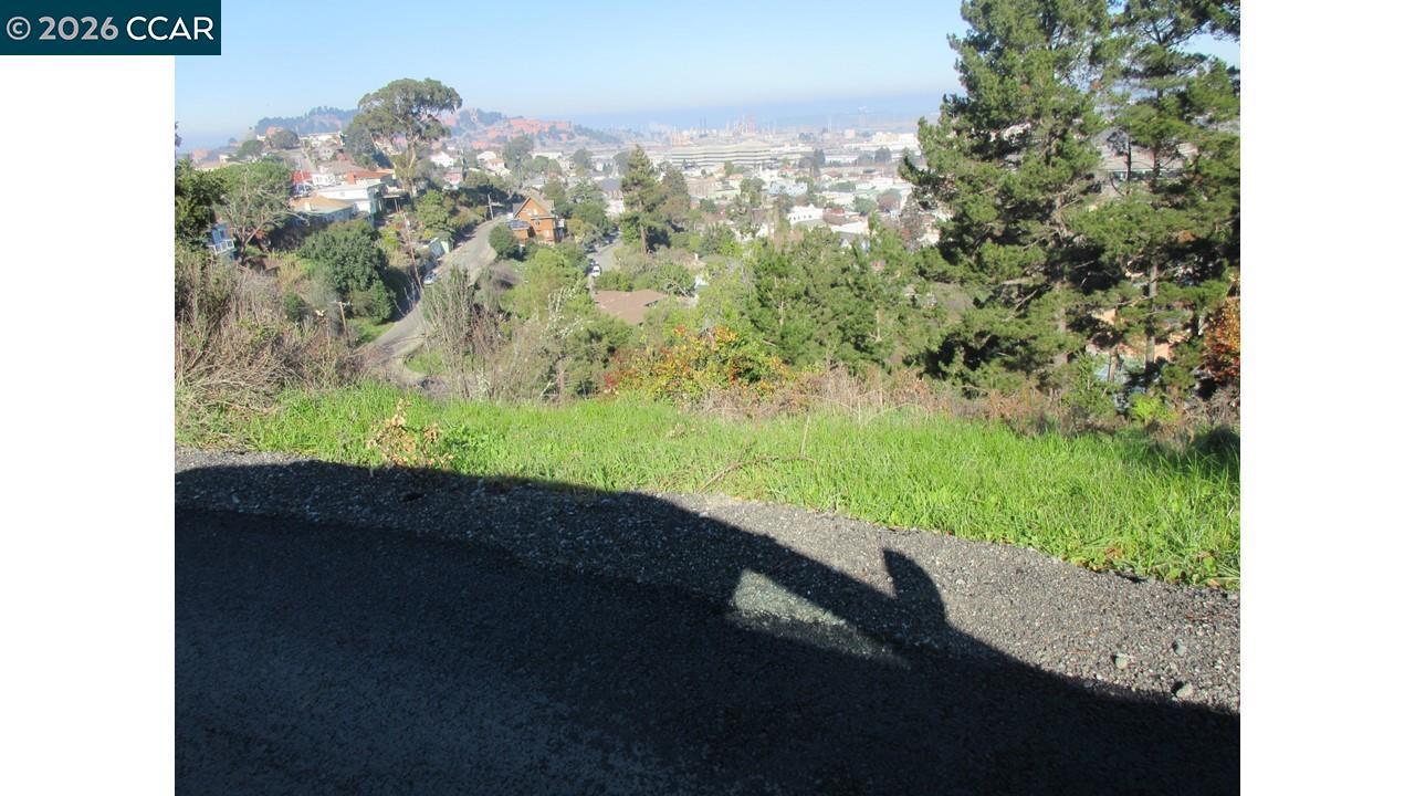 0 Crest Avenue Richmond, CA 94801 - Photo 21 of 30 a view of a yard with a garden