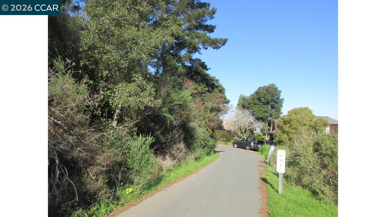 0 Crest Avenue Richmond, CA 94801 - Photo 24 of 30 a view of a pathway both side of building