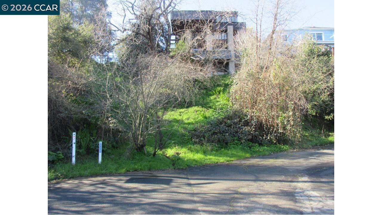 0 Crest Avenue Richmond, CA 94801 - Photo 25 of 30 a view of a yard with plants and trees