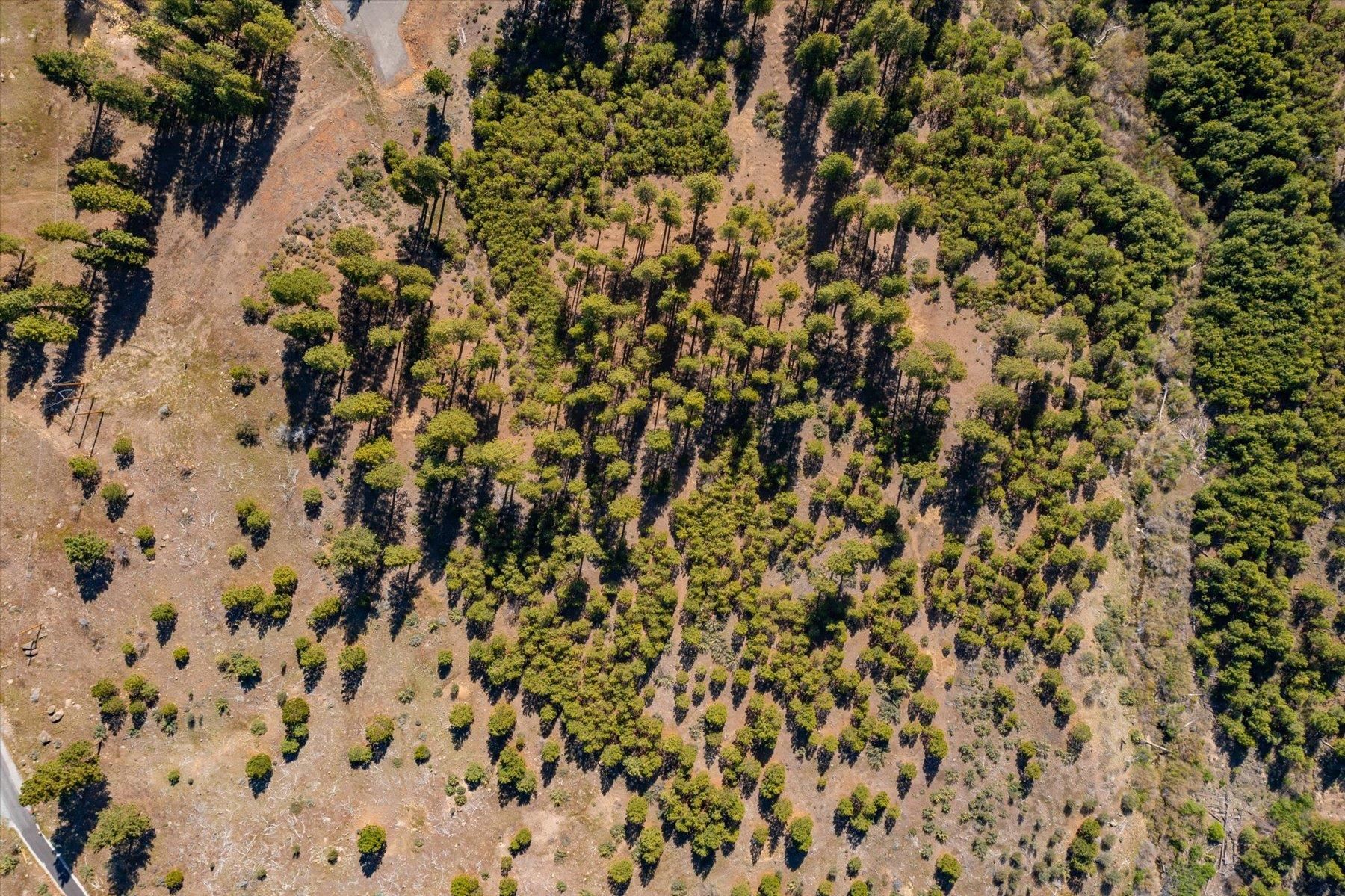 Feenune Road Loyalton, CA 96118 - Photo 4 of 28