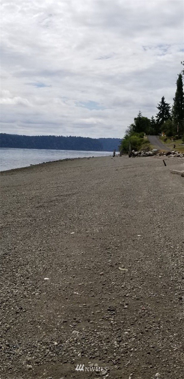 8902 Villa Beach Road Anderson Island, WA 98303 - Photo 5 of 15 Gallery Image 5