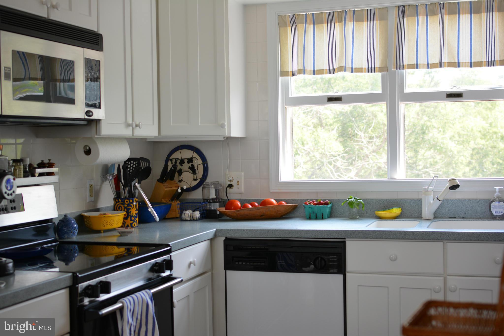 1 Bayview Road, Unit 10B Betterton, MD 21610 - Photo 24 of 30 Kitchen