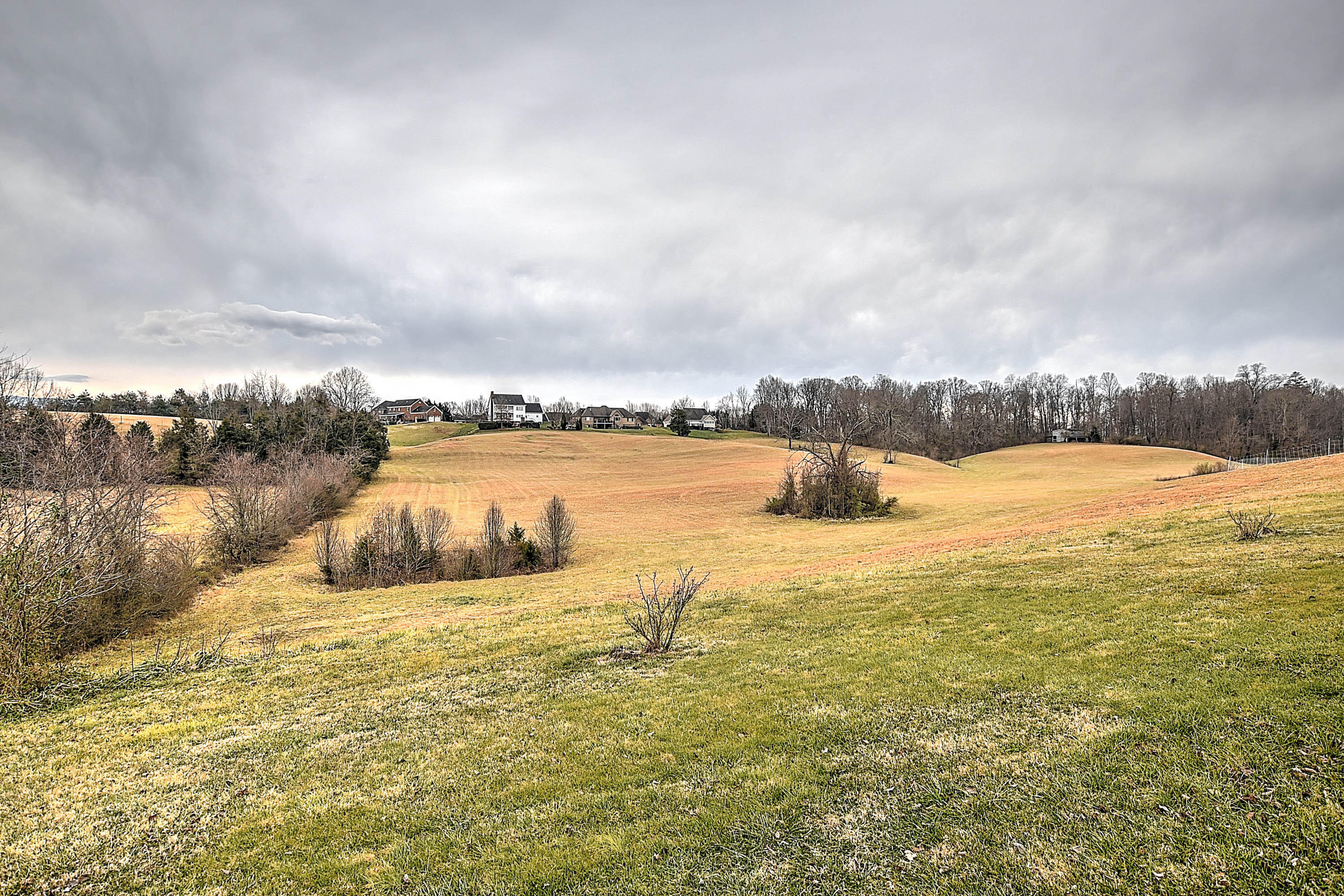 482 New Hope Road Greeneville, TN 37745 - Photo 39 of 42 New Hope Rd-13