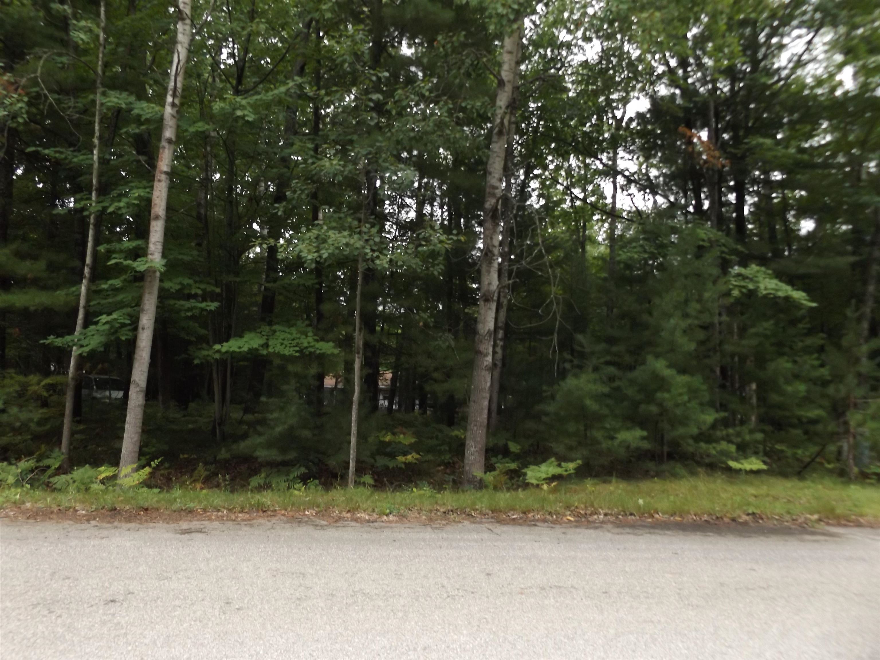 10087 Resort Interlochen, MI 49643 - Photo 1 of 8 1908387.JPG