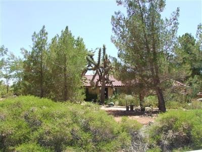 20807 Rancherias Road Apple Valley, CA 92307 - Photo 1 of 1 a view of a park with large trees