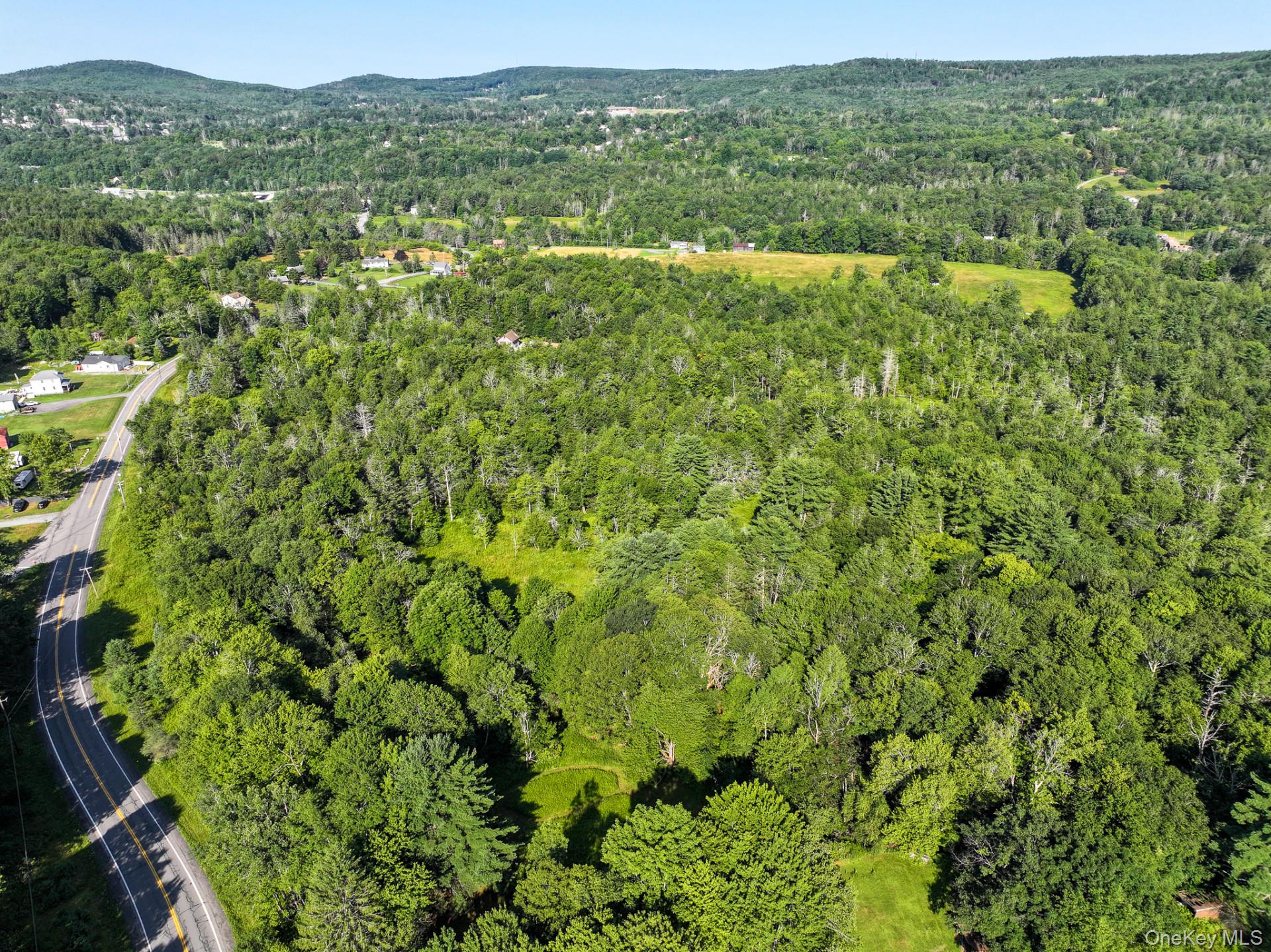 Lot 3 Neversink Road Liberty, NY 12754 - Photo 6 of 12