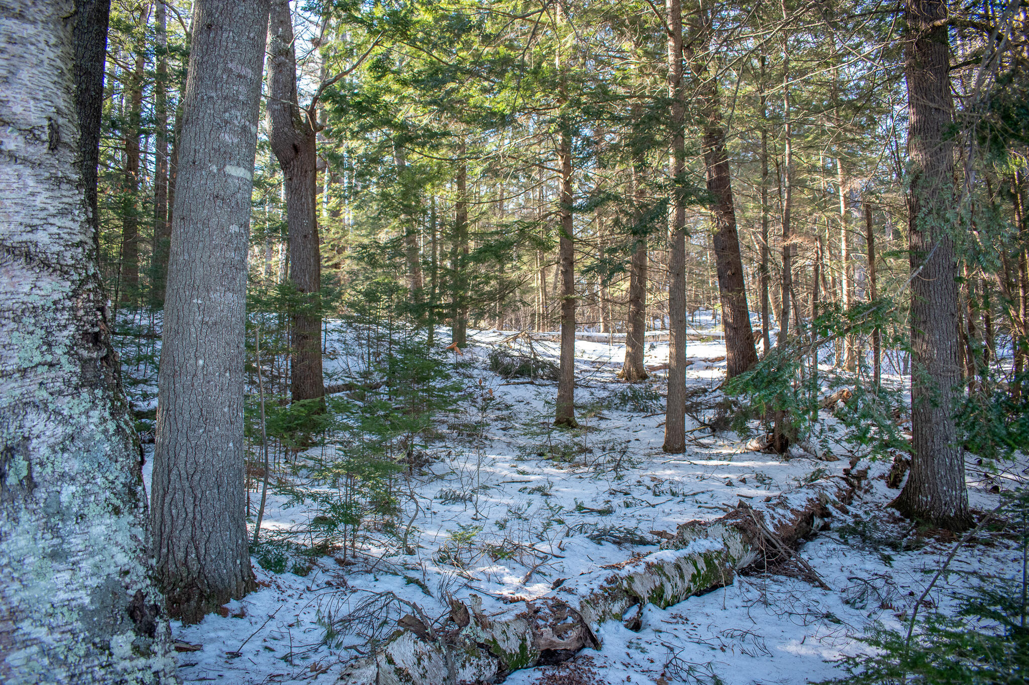 M134-l20 Macomber Road Readfield, ME 04355 - Photo 7 of 9 DSC_0561