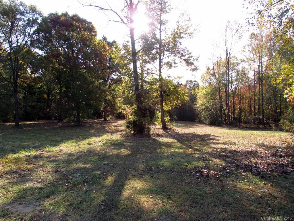4545 Musket Hill Road Sharon, SC 29742 - Photo 14 of 20 a view of a yard with trees