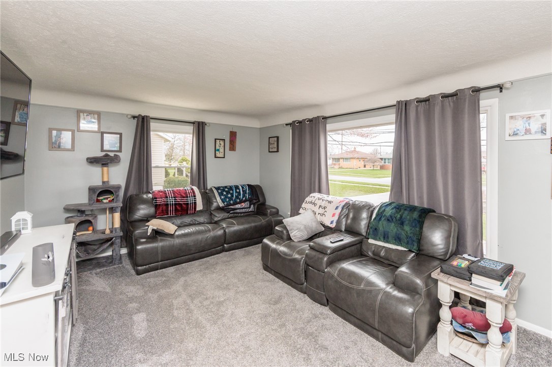 3443 Dentzler Road Parma, OH 44134 - Photo 9 of 48 Living room featuring carpet floors and a textured ceiling