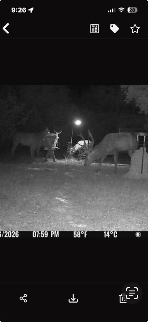 180 Bee Hive Road Hunt, TX 78024 - Photo 64 of 67