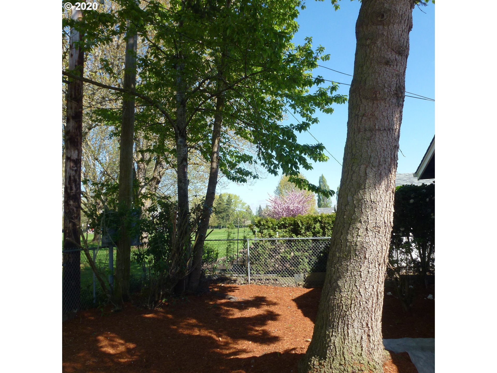 1465 Princeton Road Woodburn, OR 97071 - Photo 23 of 32 Gallery Image 23