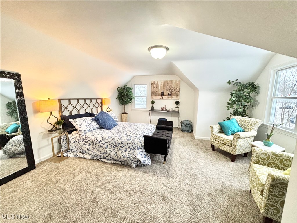 2373 North Taylor Road Cleveland Heights, OH 44112 - Photo 19 of 32 Gallery Image 19
