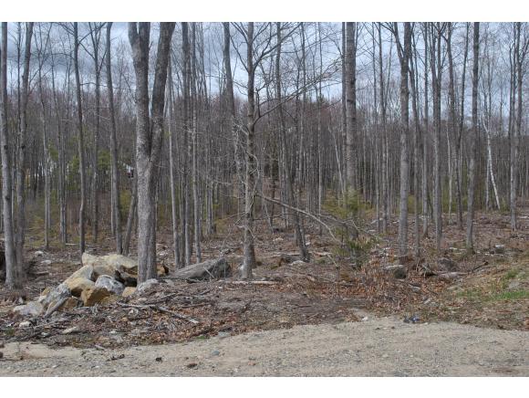 Lot R2 Deering Neighborhood Road Springvale, ME 04083 - Photo 6 of 8