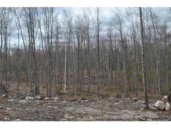 Lot R2 Deering Neighborhood Road Springvale, ME 04083 - Photo 7 of 8