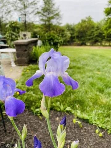 $775,000 | 15 Dorset Drive, Hackettstown, NJ 07840