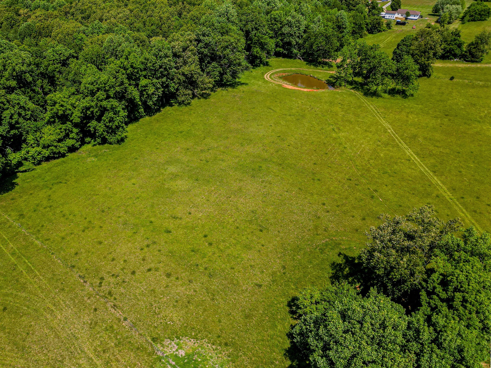 3 Valley Road Springfield, TN 37172 - Photo 20 of 26 a view of a large yard with plants and large trees