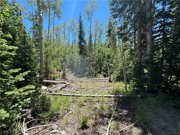 $199,000 | 314 East Toboggan Lane, Brian Head, UT 84719