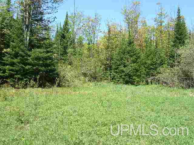 Tbd East Cold Springs Road Chatham, MI 49816 - Photo 6 of 21