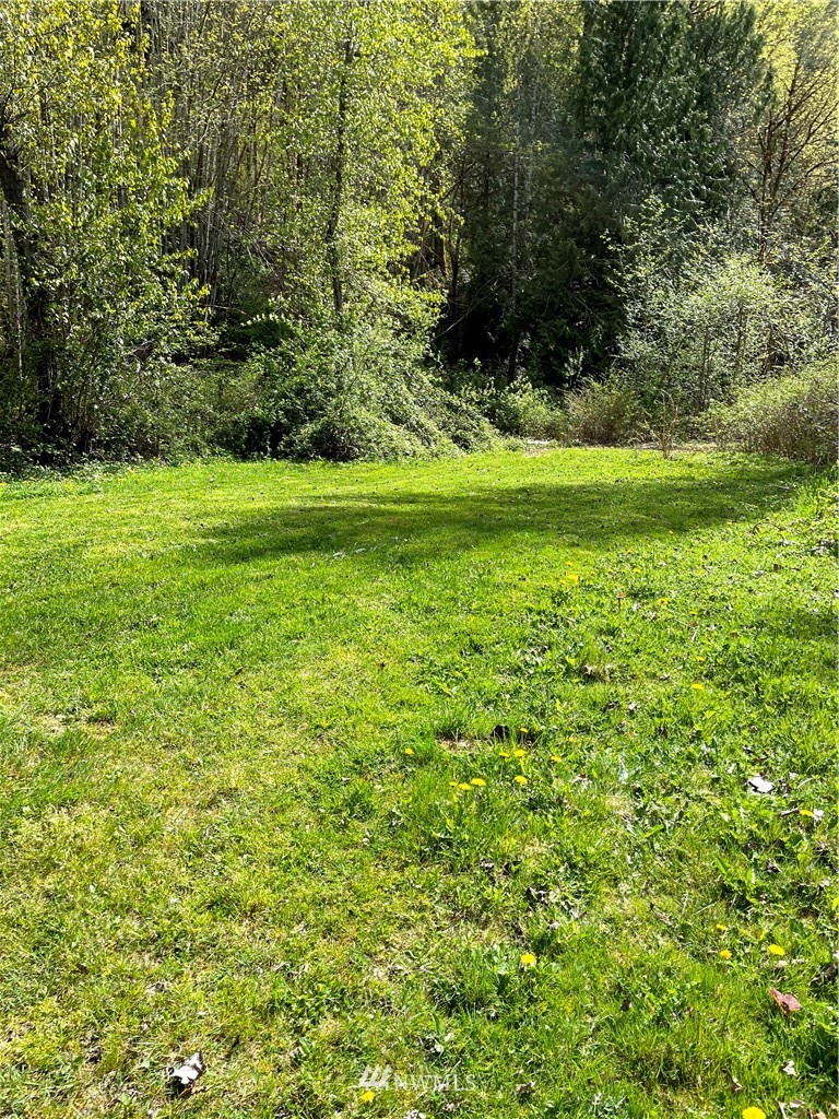 4640 Mosquito Lake Road Deming, WA 98244 - Photo 12 of 17