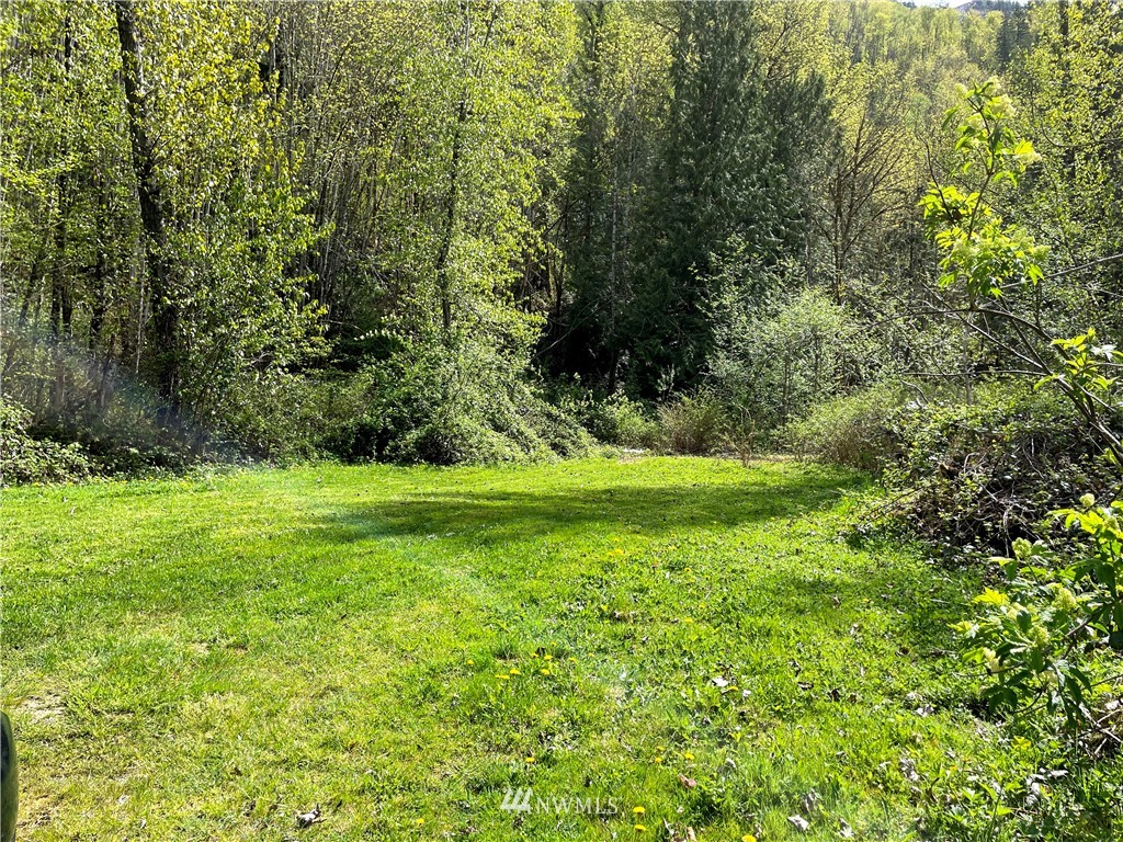 4640 Mosquito Lake Road Deming, WA 98244 - Photo 13 of 17