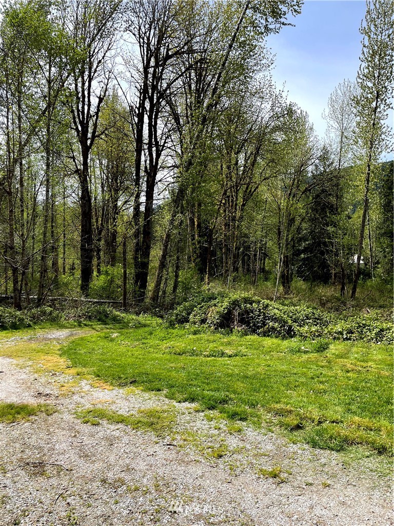 4640 Mosquito Lake Road Deming, WA 98244 - Photo 15 of 17