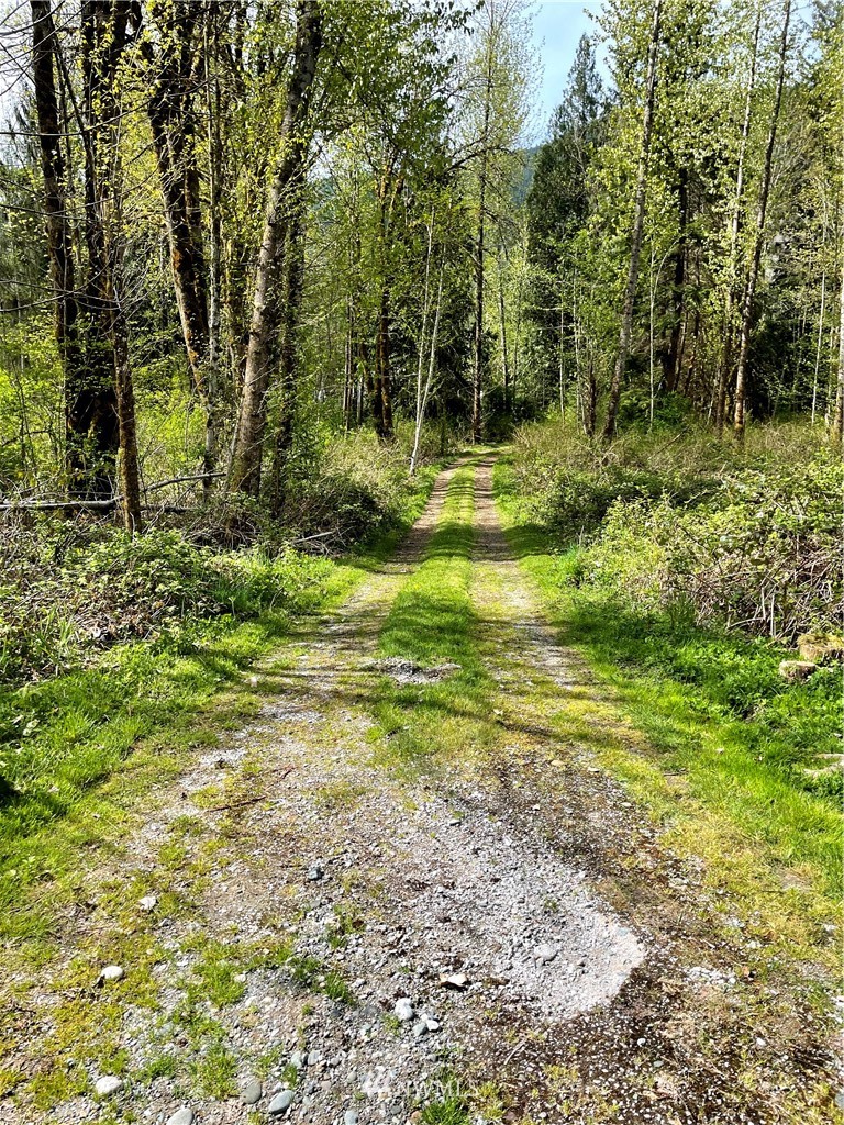 4640 Mosquito Lake Road Deming, WA 98244 - Photo 16 of 17