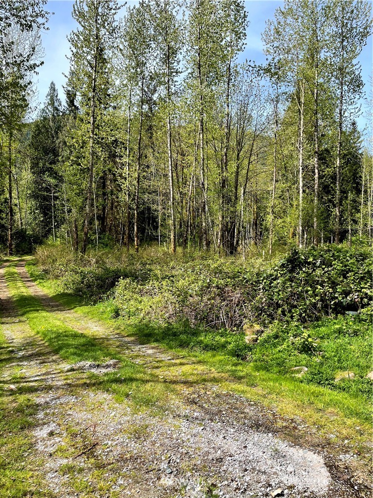 4640 Mosquito Lake Road Deming, WA 98244 - Photo 17 of 17