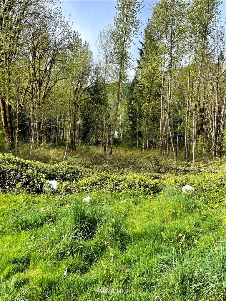 4640 Mosquito Lake Road Deming, WA 98244 - Photo 4 of 17