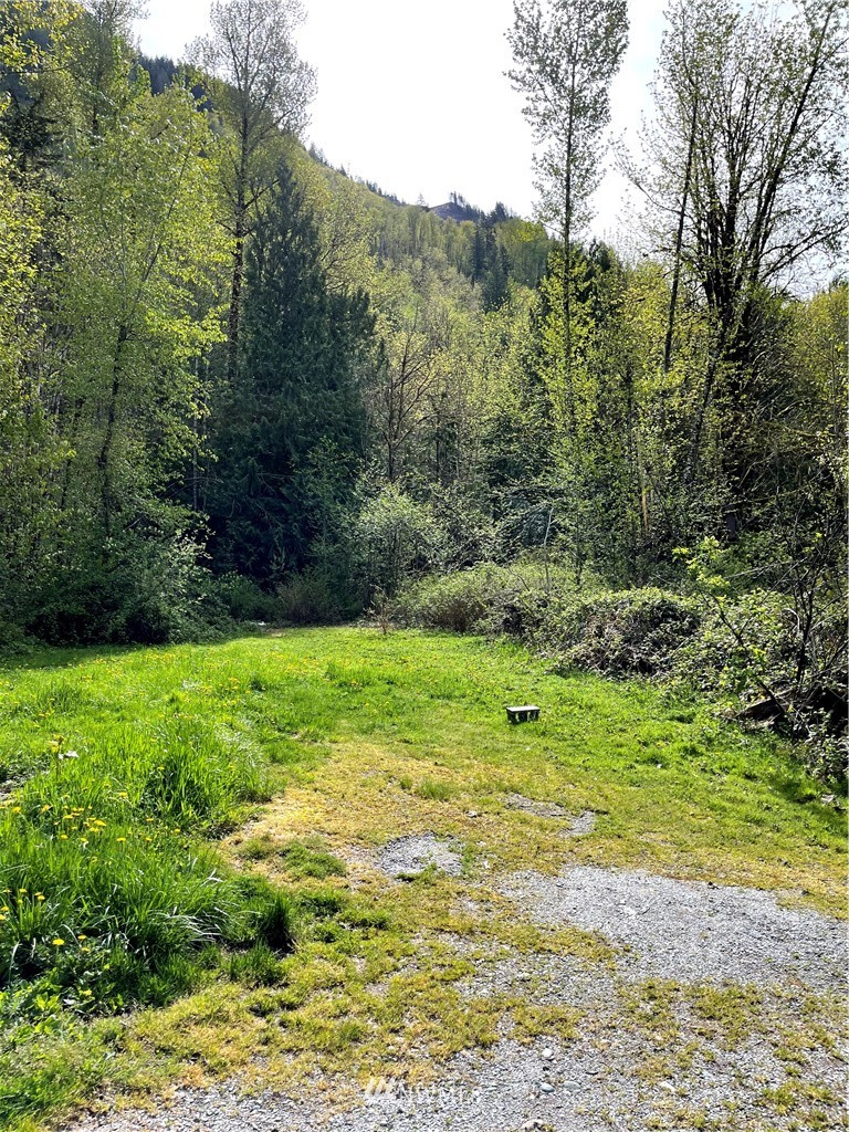 4640 Mosquito Lake Road Deming, WA 98244 - Photo 8 of 17