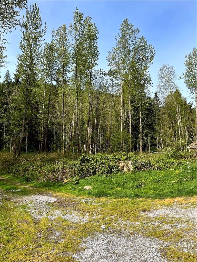 4640 Mosquito Lake Road Deming, WA 98244 - Photo 10 of 17