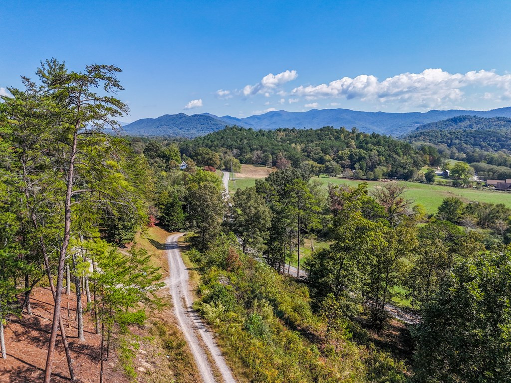 0 Mistletoe Ridge Murphy, NC 28906 - Photo 25 of 34