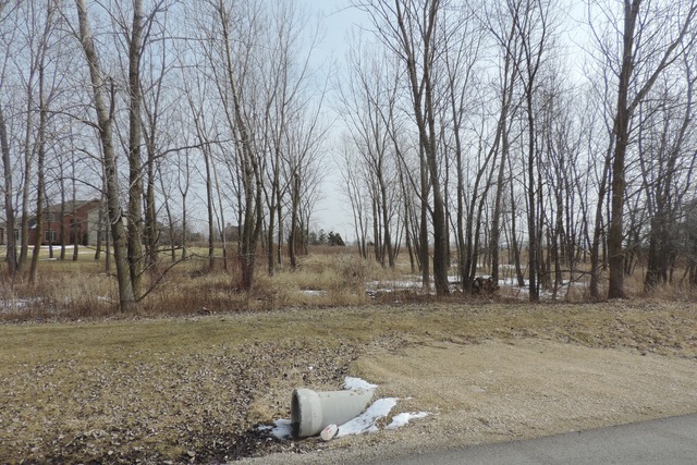 24237 South Schoolhouse Road Manhattan, IL 60442 - Photo 1 of 1 a view of a yard with trees