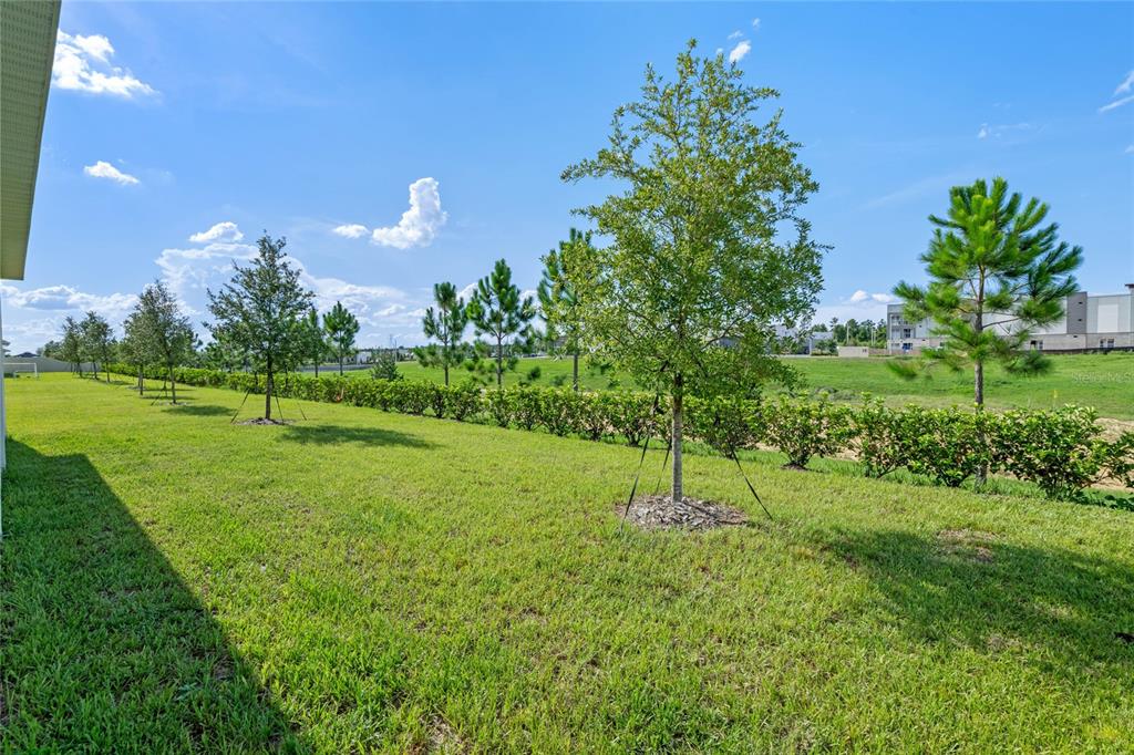 860 Vineyard Rdg Road Minneola, FL 34715 - Photo 32 of 37