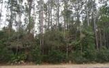12-13 Crews Road Fernandina Beach, FL 32034 - Photo 3 of 7 Gallery Image 3