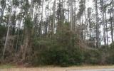 12-13 Crews Road Fernandina Beach, FL 32034 - Photo 4 of 7 Gallery Image 4