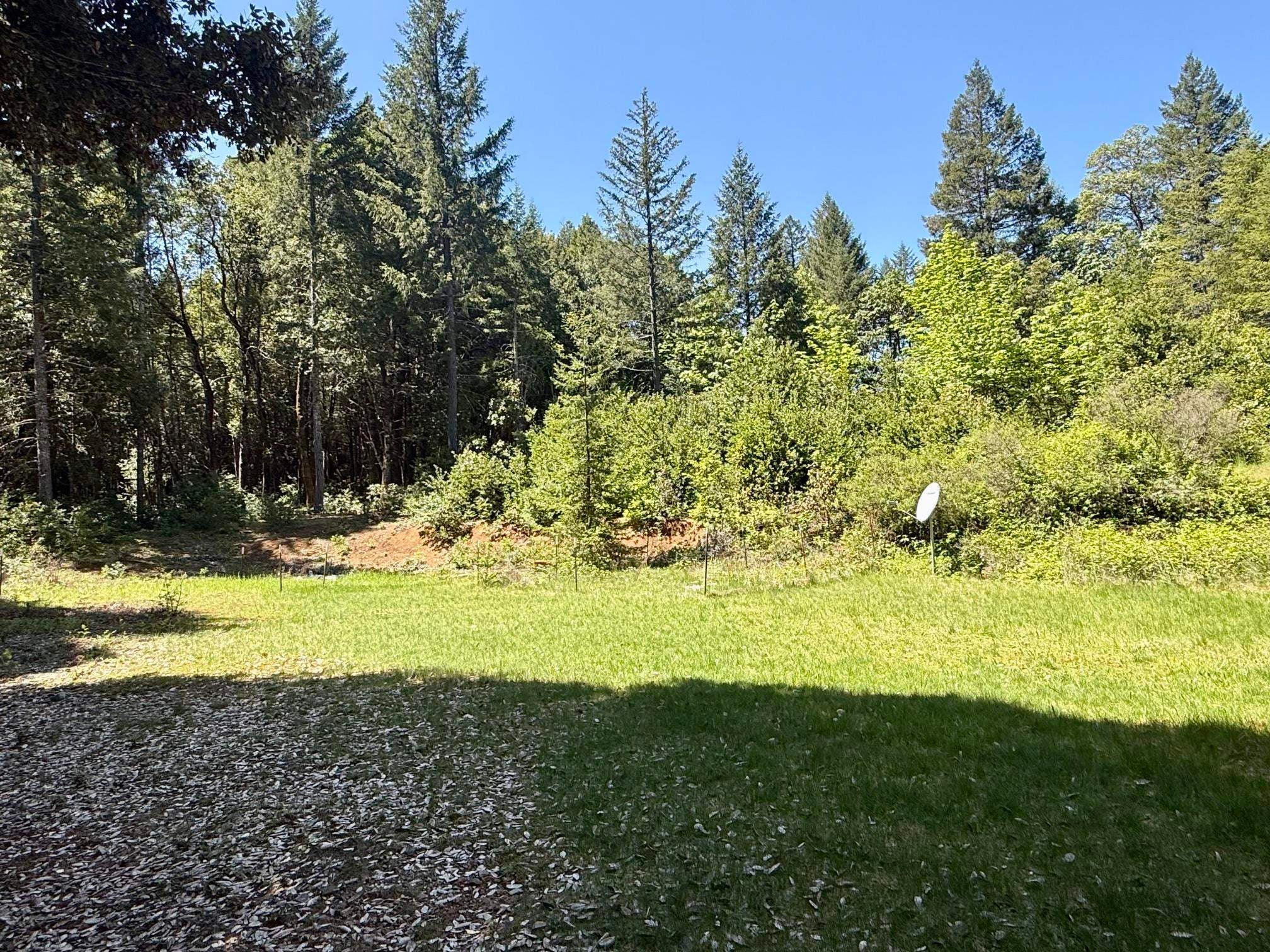 Sandy Bar Road Somes Bar, CA 95568 - Photo 13 of 24 Gallery Image 13