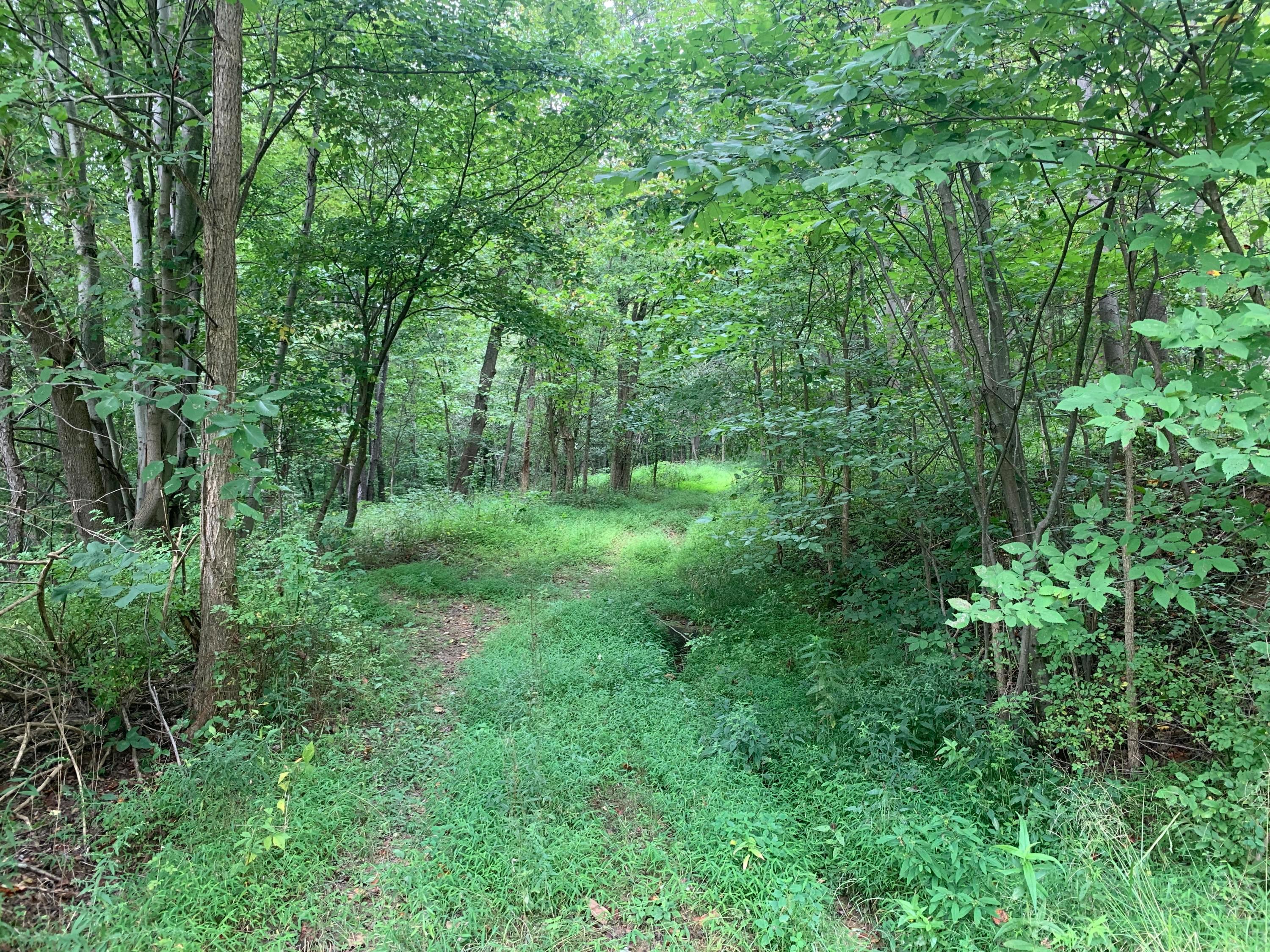 0 Cherry Run Road Northwest Strasburg, OH 44680 - Photo 28 of 35 20200831_183514136_iOS