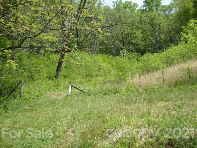 0 Griffin Road Waynesville, NC 28786 - Photo 1 of 10 a view of a lush green space